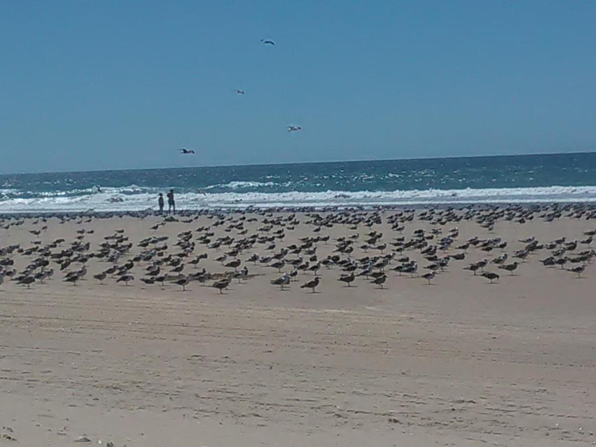 Caparica Holidays Шарнека Экстерьер фото